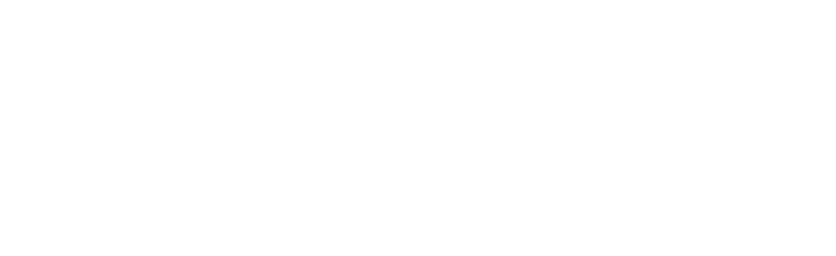 V4 Ames & Co
